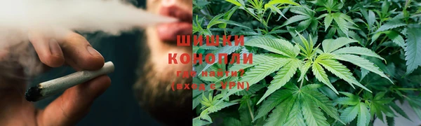 PSILOCYBIN Баксан